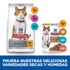 Hill's Science Plan Sterilized Young Adult Pollo sobre para gatos, , large image number null